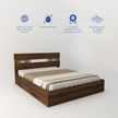 Clio Queen Bed in Walnut Colour