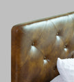 Chestnut Bed With Premium Leatherette Fabric And Box Storage - Queen Bed