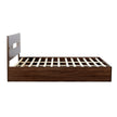 Yuudai Queen Bed in Walnut Colour