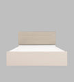 Bakhti Bed With Premium Leatherette Fabric And Box Storage - Queen Bed