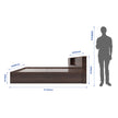 Vida Bed With Box Storage  (Non-Woveen)