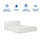 Ren Bed With Box Storage (Non-Woveen)