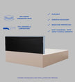 Bakhti Bed With Premium Leatherette Fabric And Box Storage - Queen Bed