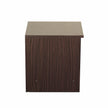 Takeo Bedside Table In Walnut